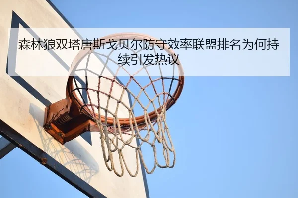 森林狼双塔唐斯戈贝尔防守效率联盟排名为何持续引发热议
