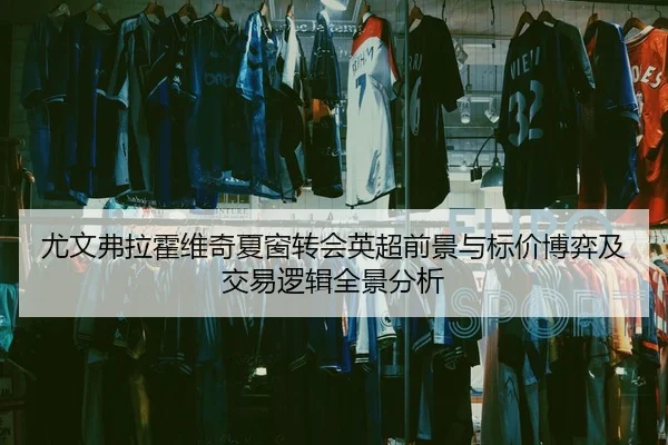 尤文弗拉霍维奇夏窗转会英超前景与标价博弈及交易逻辑全景分析